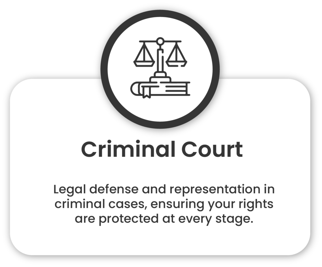 Criminal Defense Lawyer for Court Cases & Legal Support